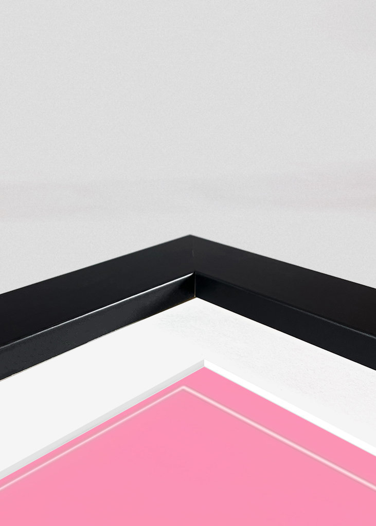 Pink Coconut Retro Modernist