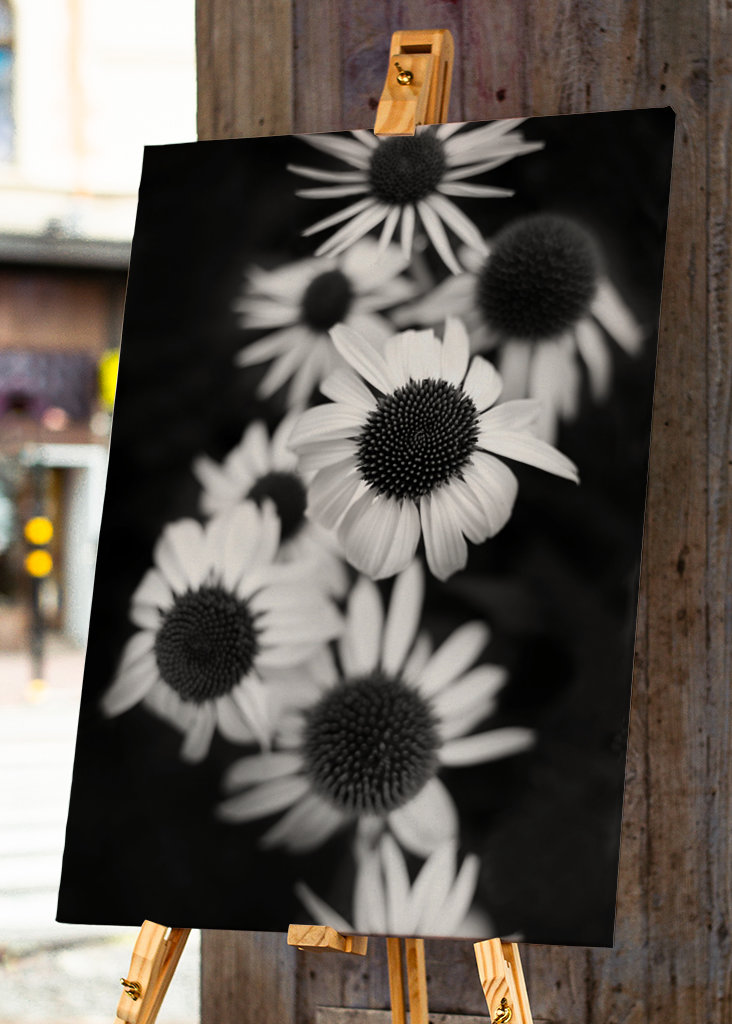 Vit solhatt "Feeling white"