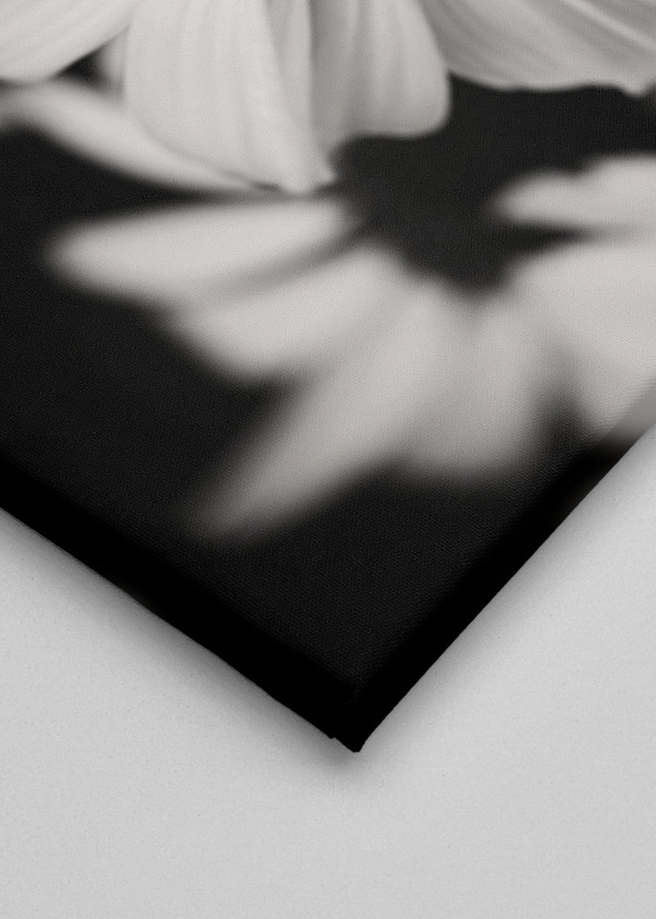 Zaostřeno na bílý klobouk proti slunci