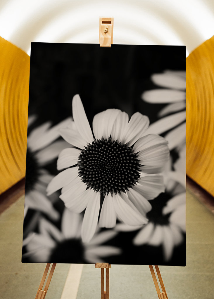 Zaostřeno na bílý klobouk proti slunci