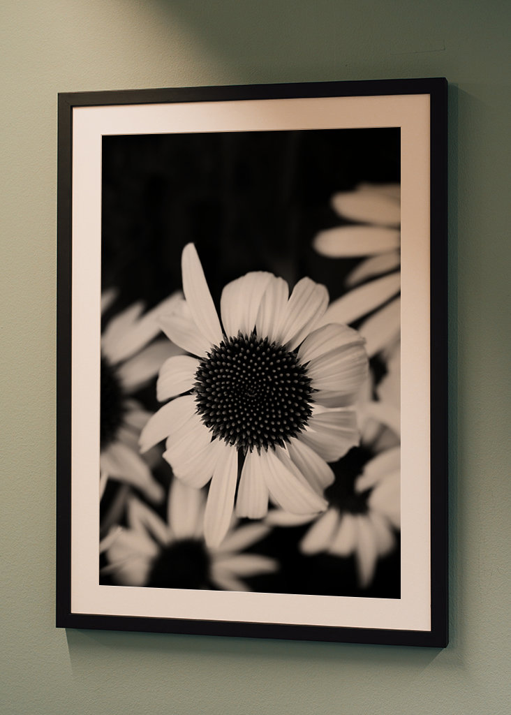 Zaostřeno na bílý klobouk proti slunci