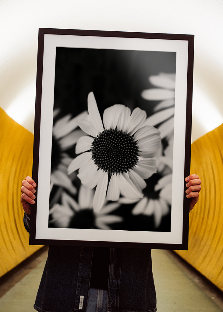 Zaostřeno na bílý klobouk proti slunci