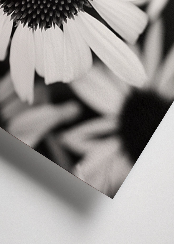 Zaostřeno na bílý klobouk proti slunci