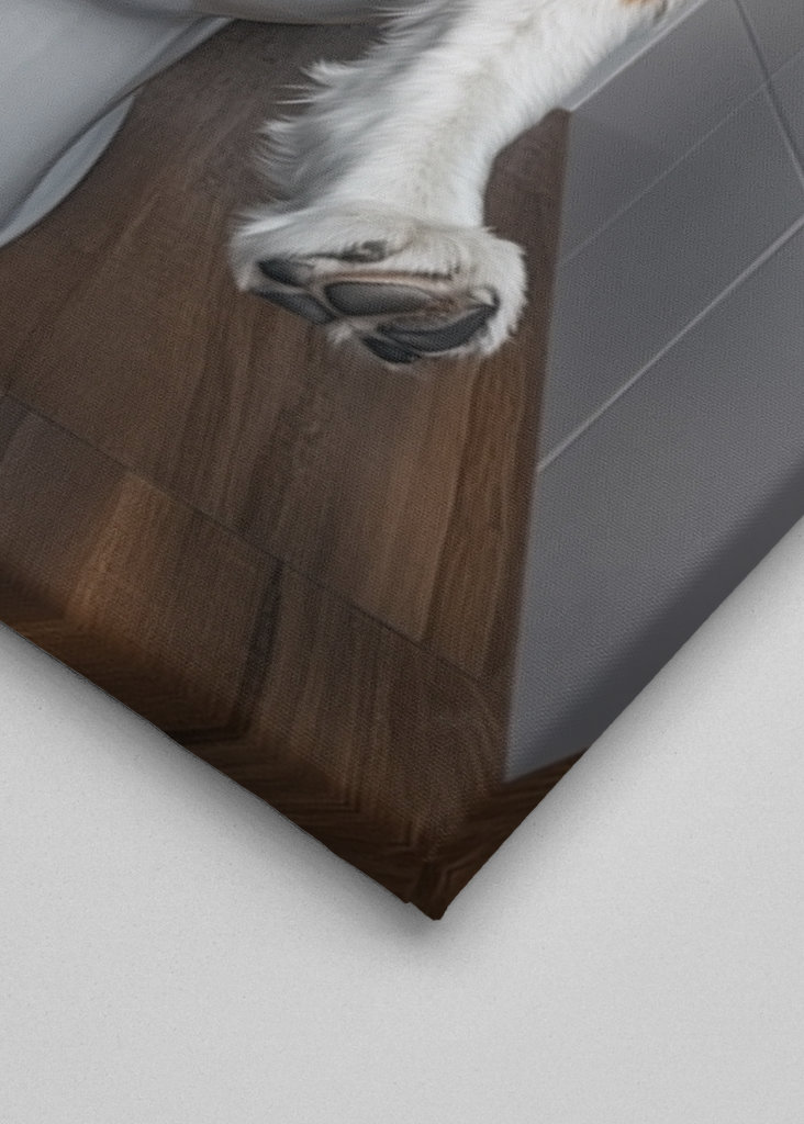 Bernhardiner auf der Toilette