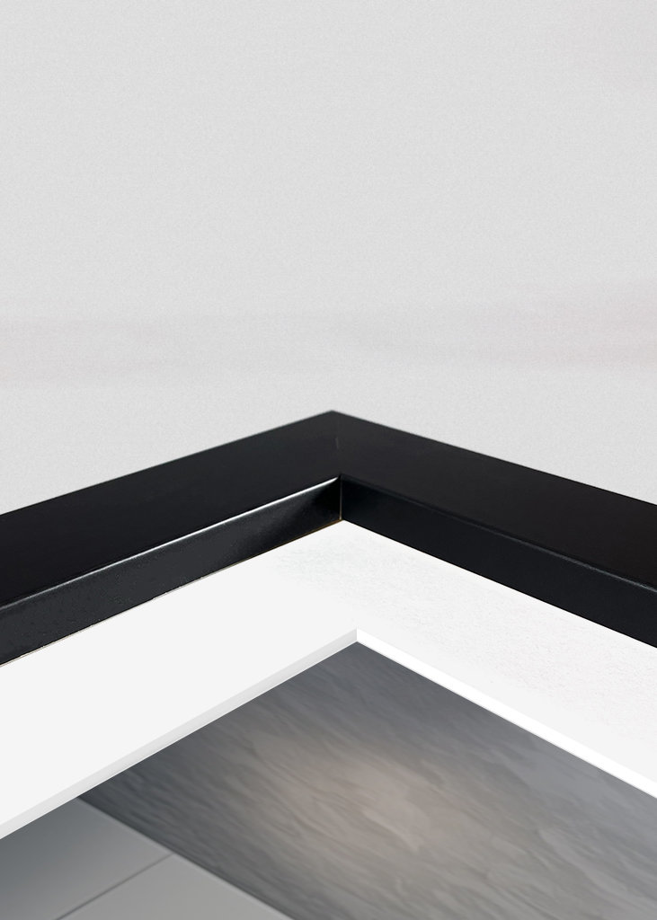 Bernhardiner auf der Toilette