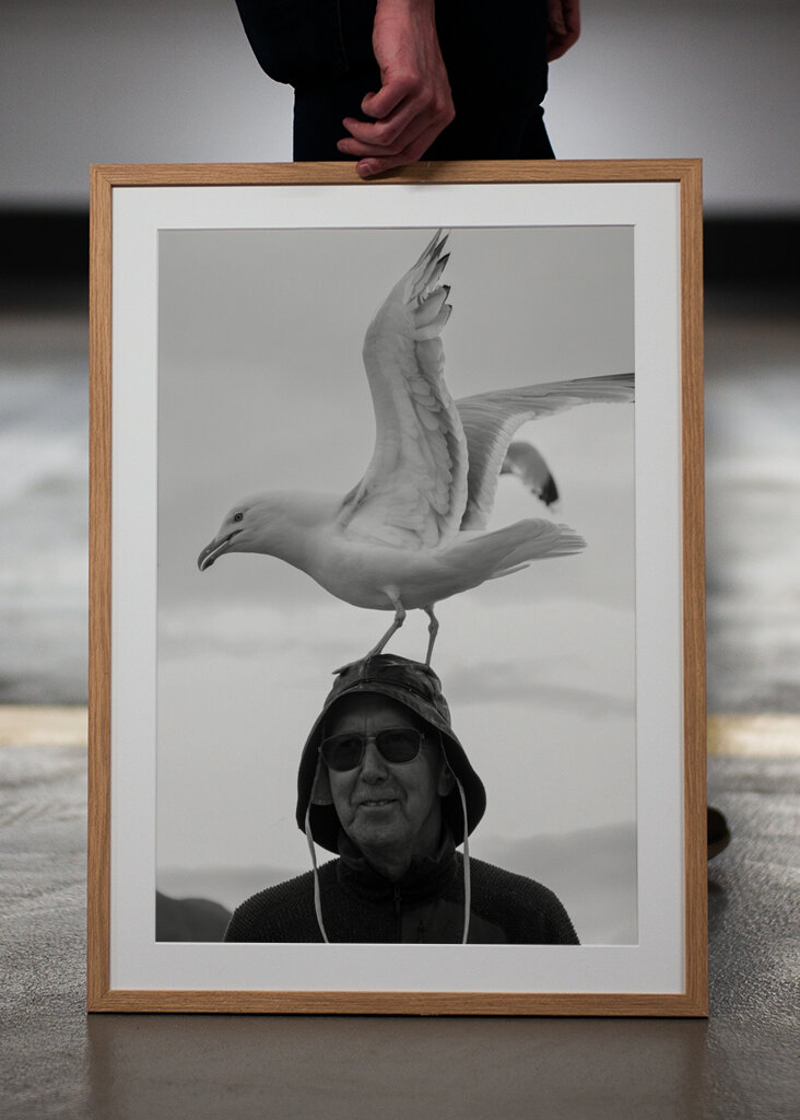 Il capitano e il gabbiano