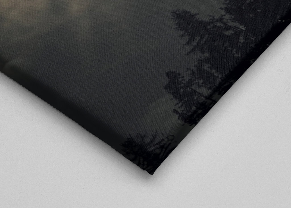 The moon above the trees