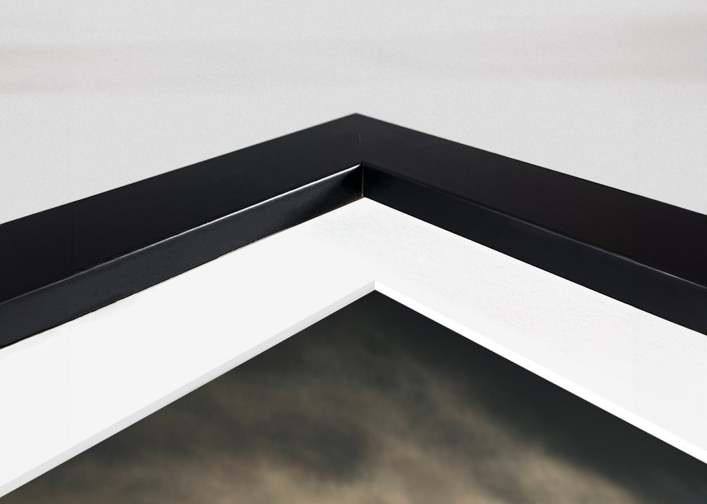 The moon above the trees