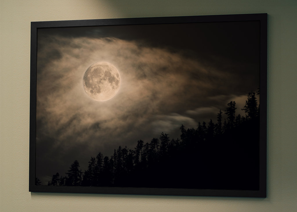 The moon above the trees