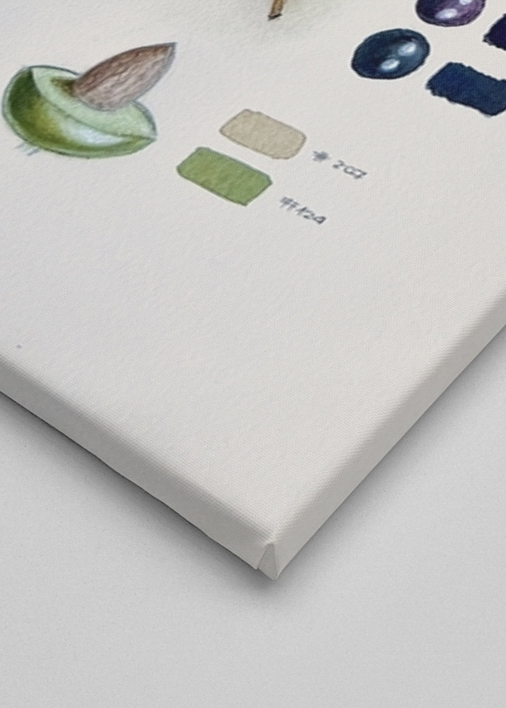 Vintage botanisk oliven