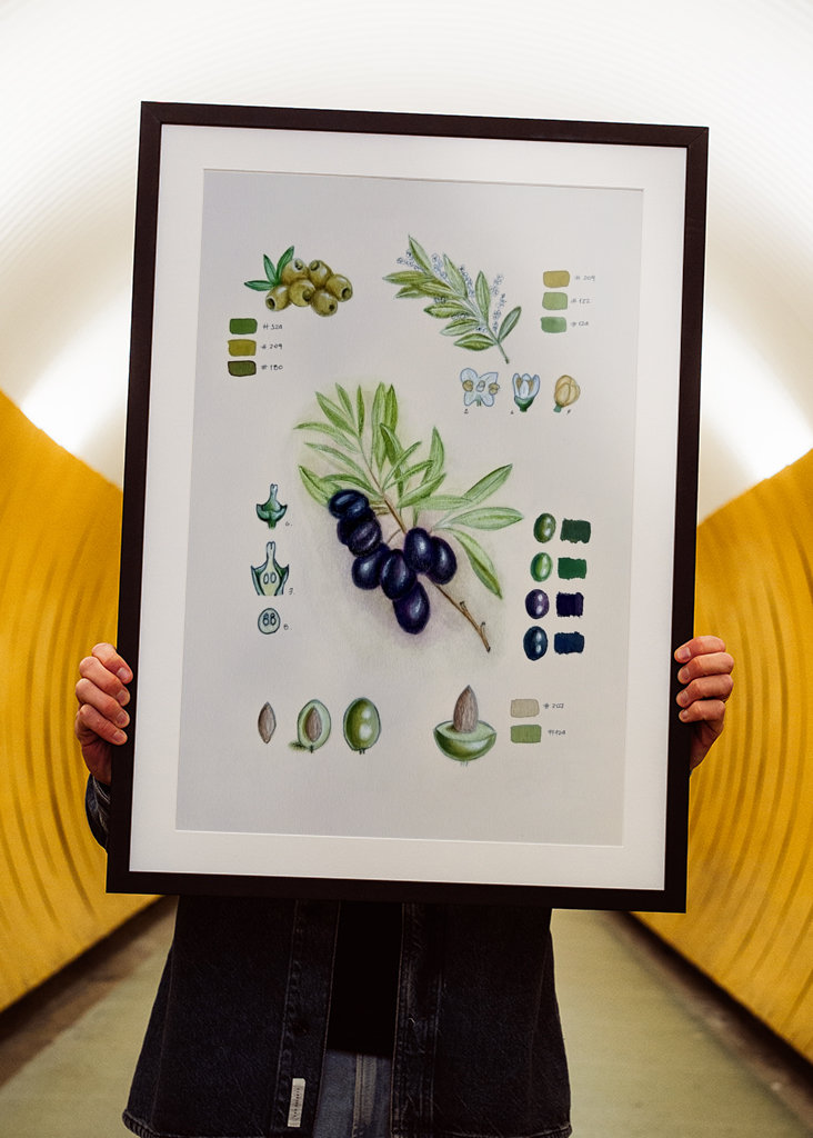 Vintage botanisk oliven