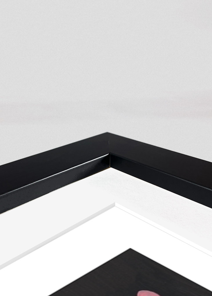 Eles não sabiam que éramos sementes