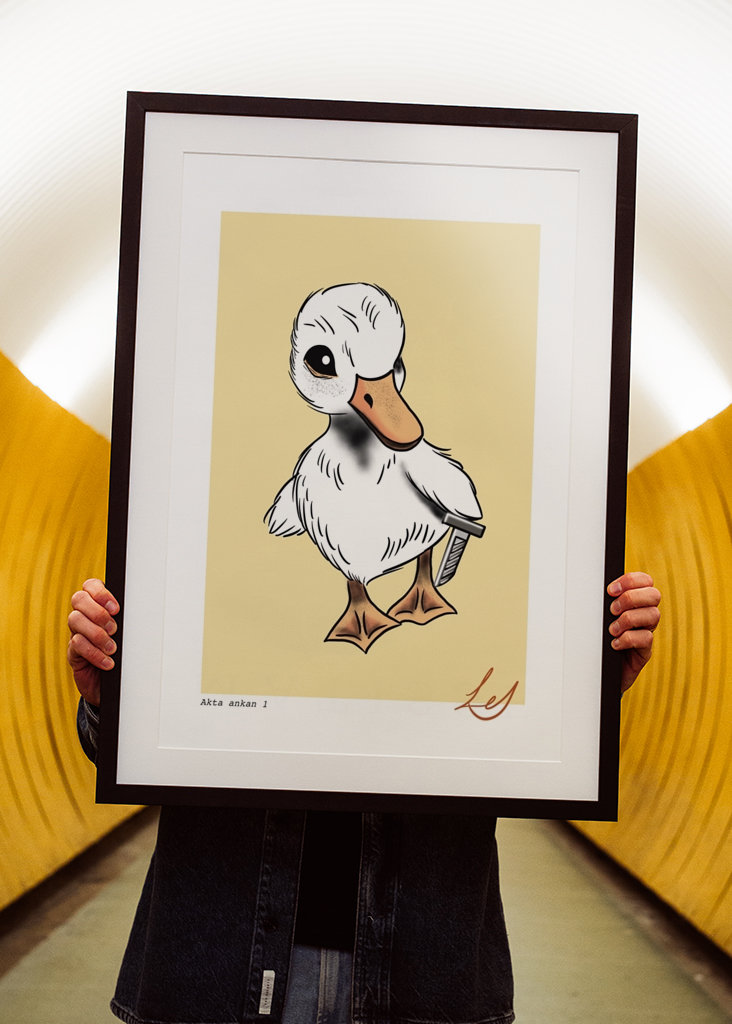 Watch out for the duck 1