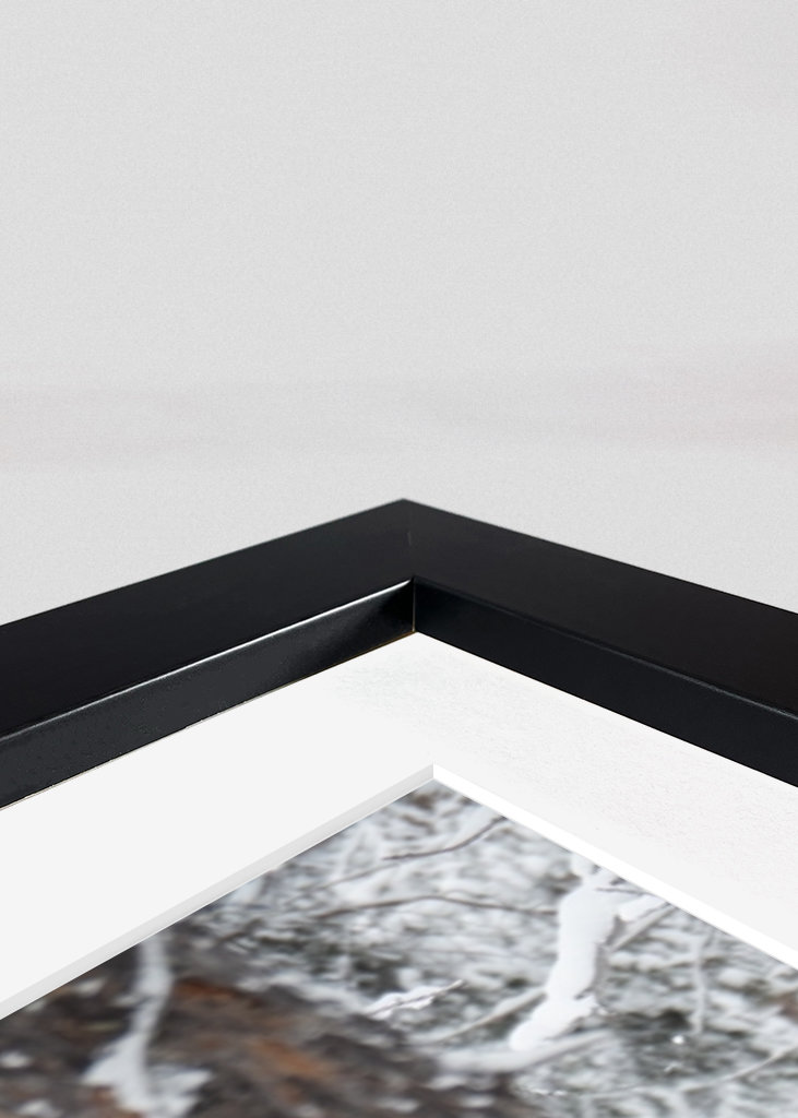 Rensdyr i finsk Lapland