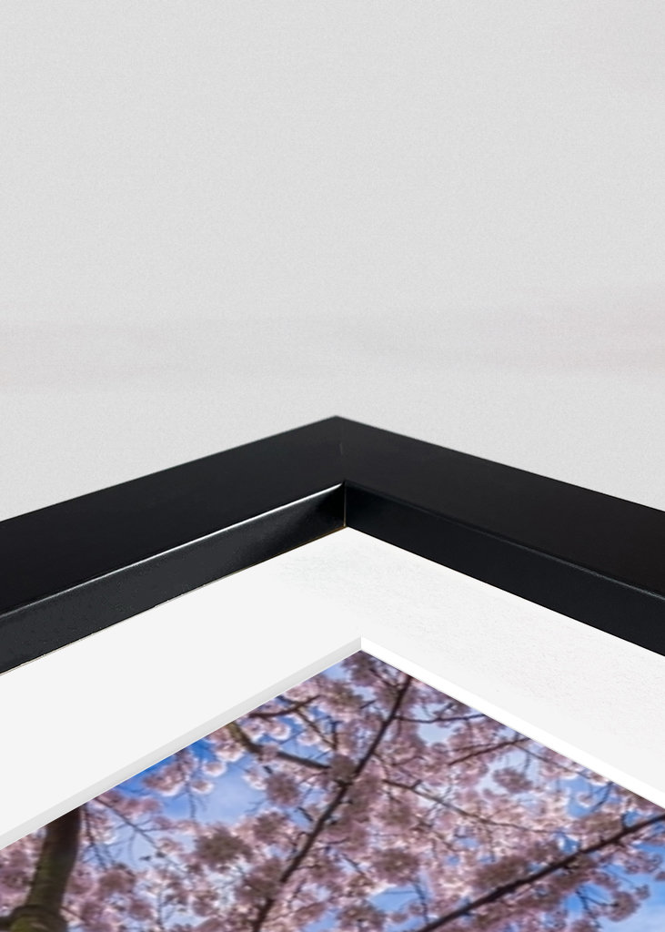 Blooming cherry tree