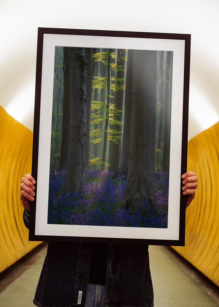 Jaro v zelené a modré