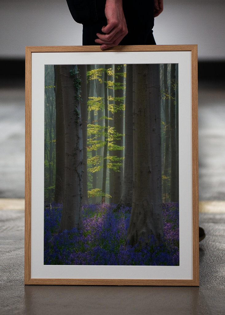 Jaro v zelené a modré