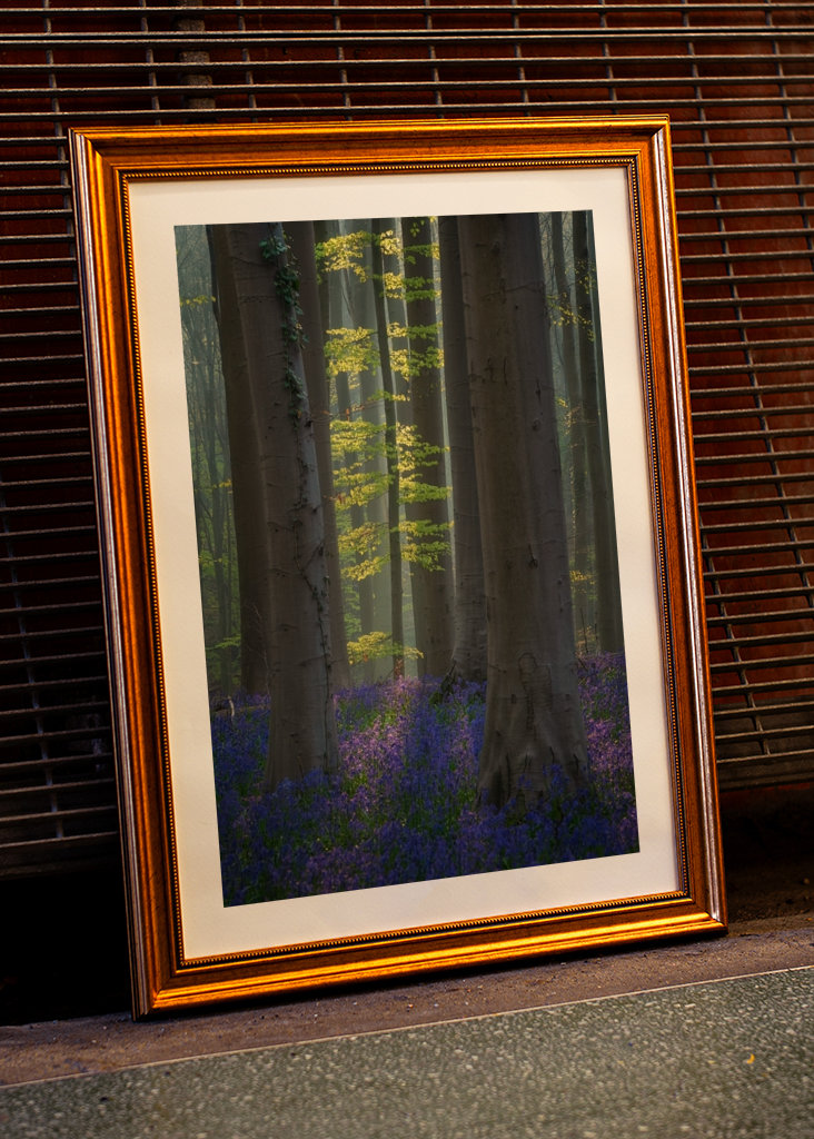 Jaro v zelené a modré