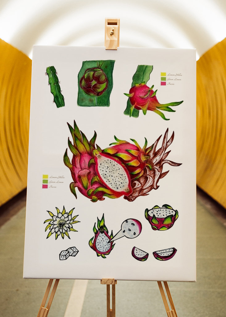 Botanické dračí ovoce