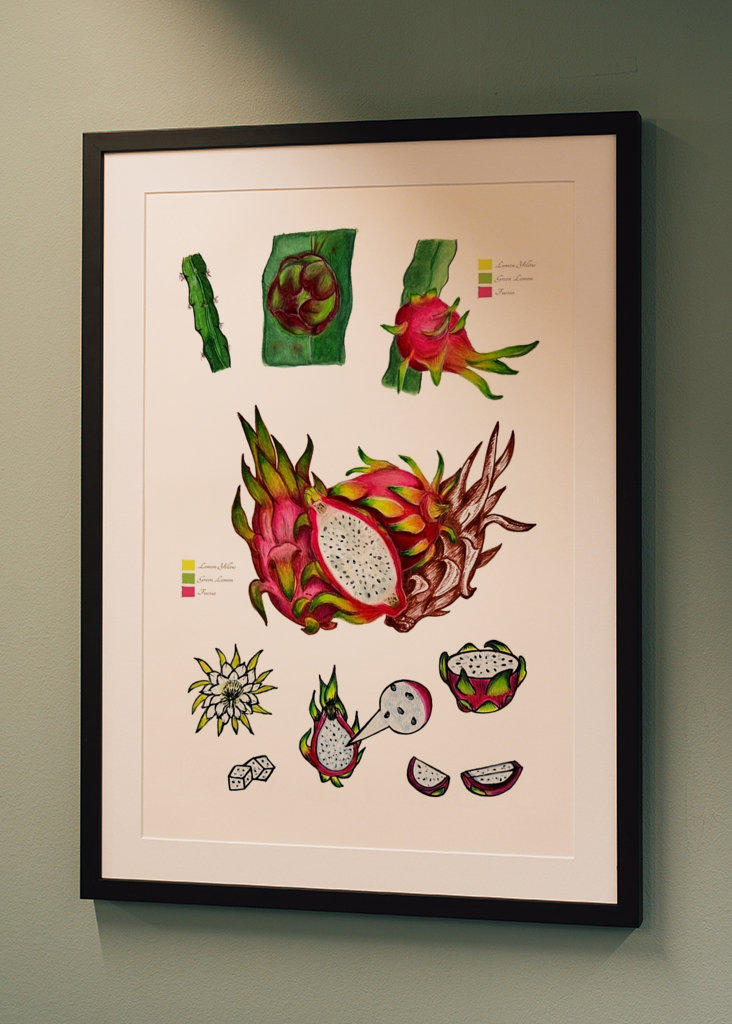 Botanické dračí ovoce