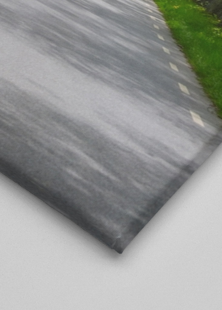 Alley in sheer greenery