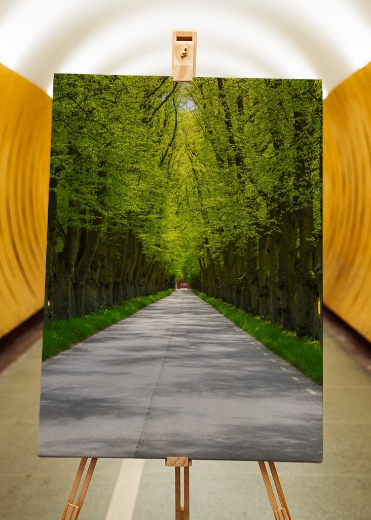 Alley in sheer greenery