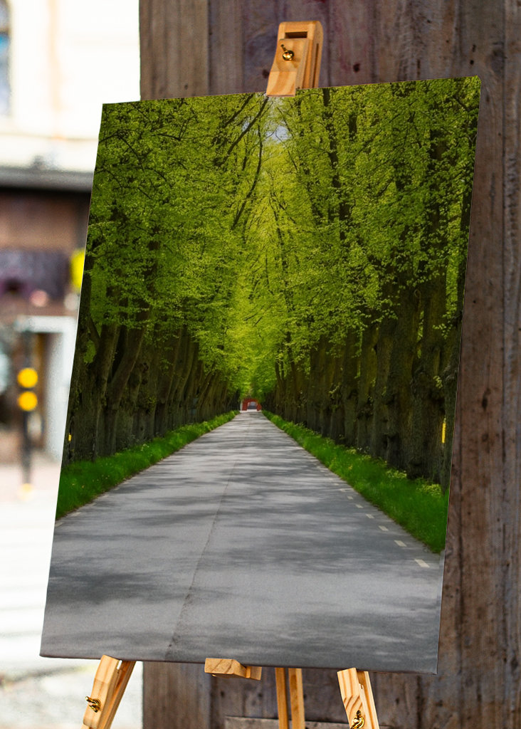 Alley in sheer greenery