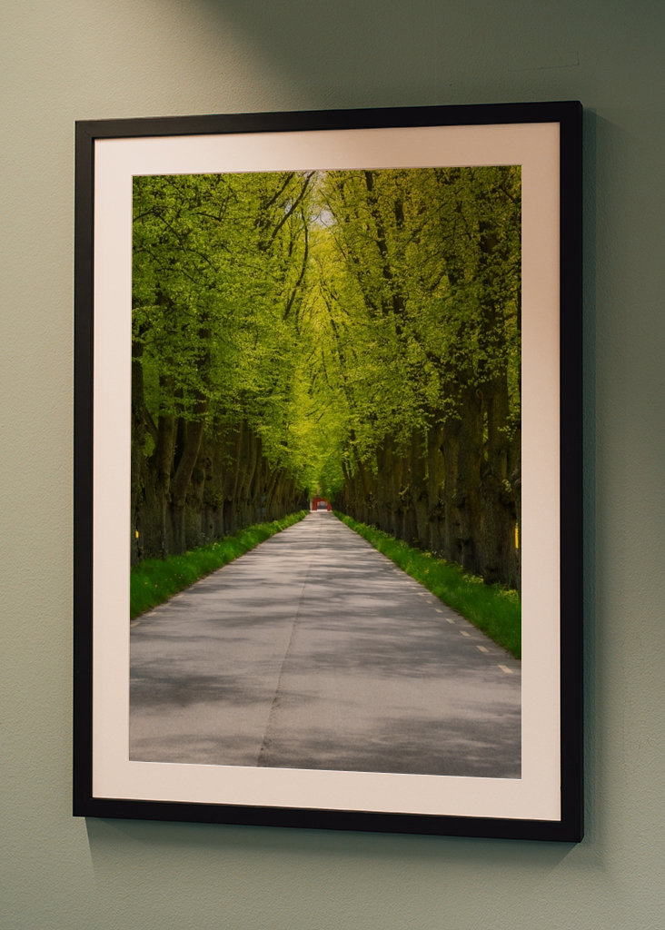 Alley in sheer greenery