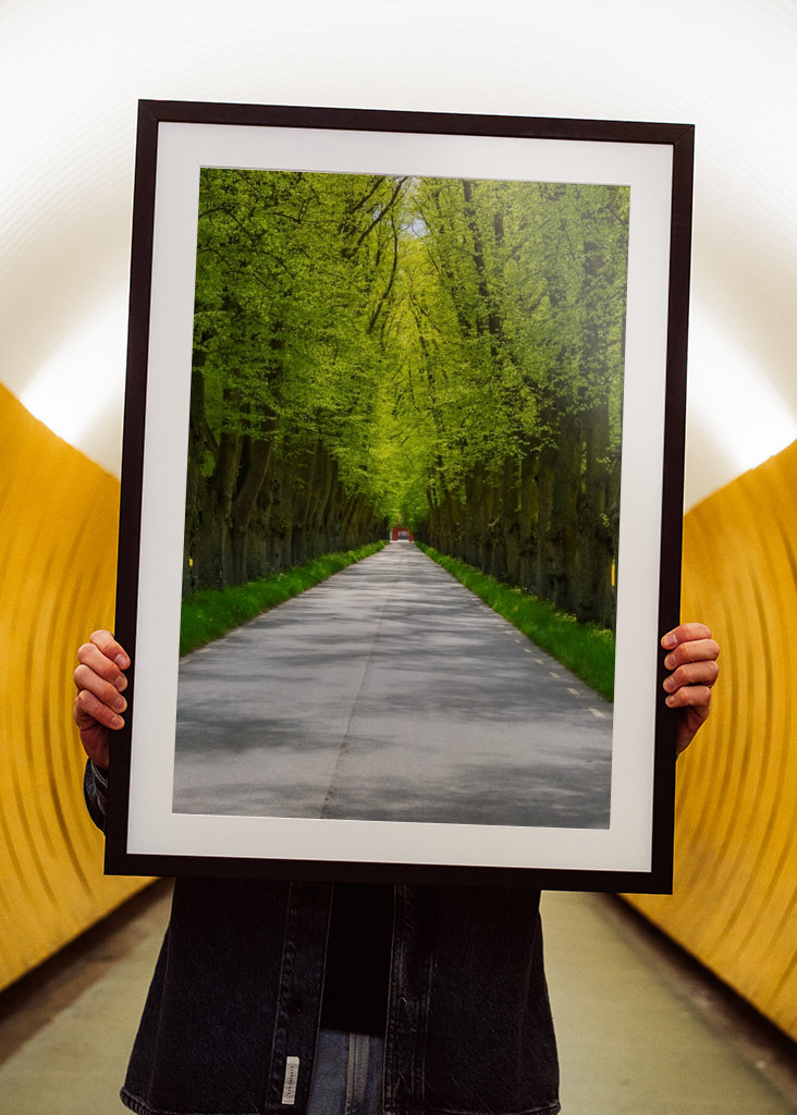 Alley in sheer greenery