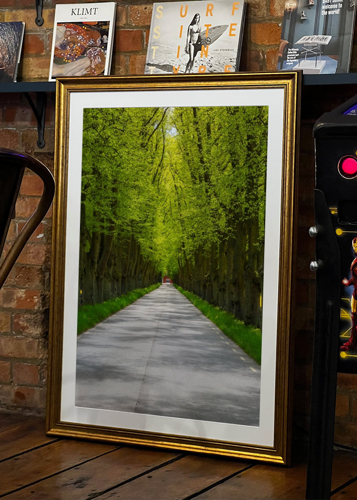 Alley in sheer greenery