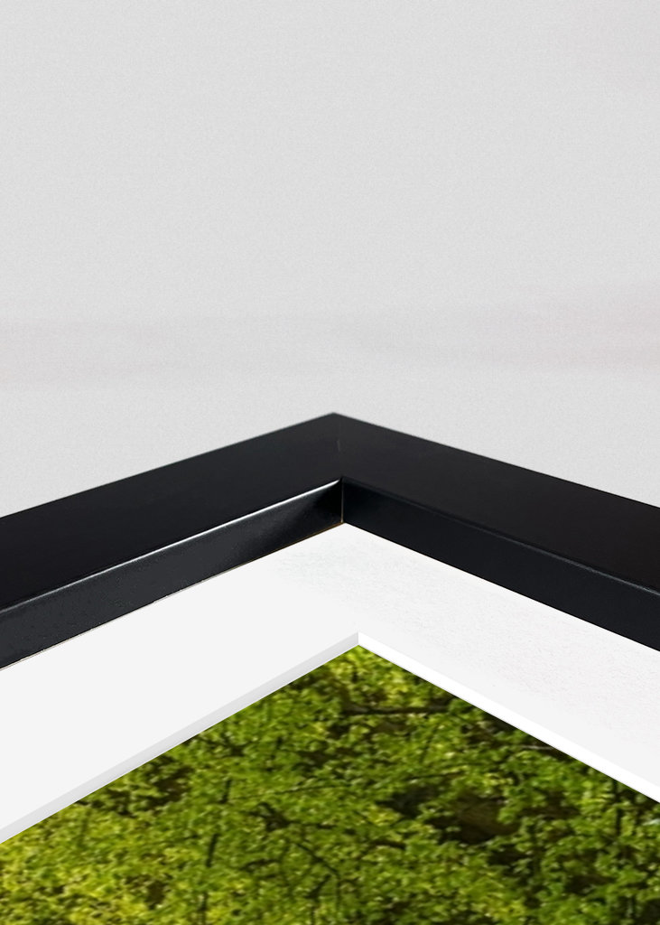 Alley in sheer greenery