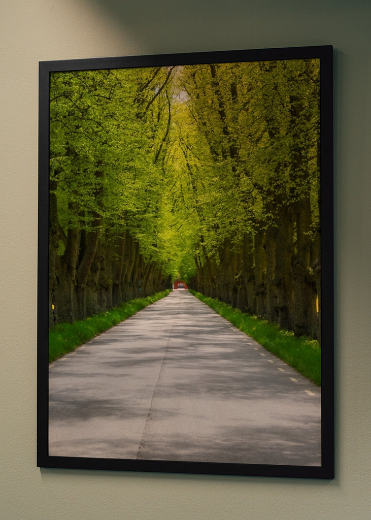 Alley in sheer greenery