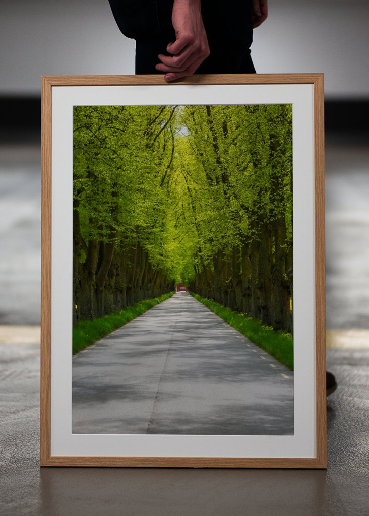Alley in sheer greenery