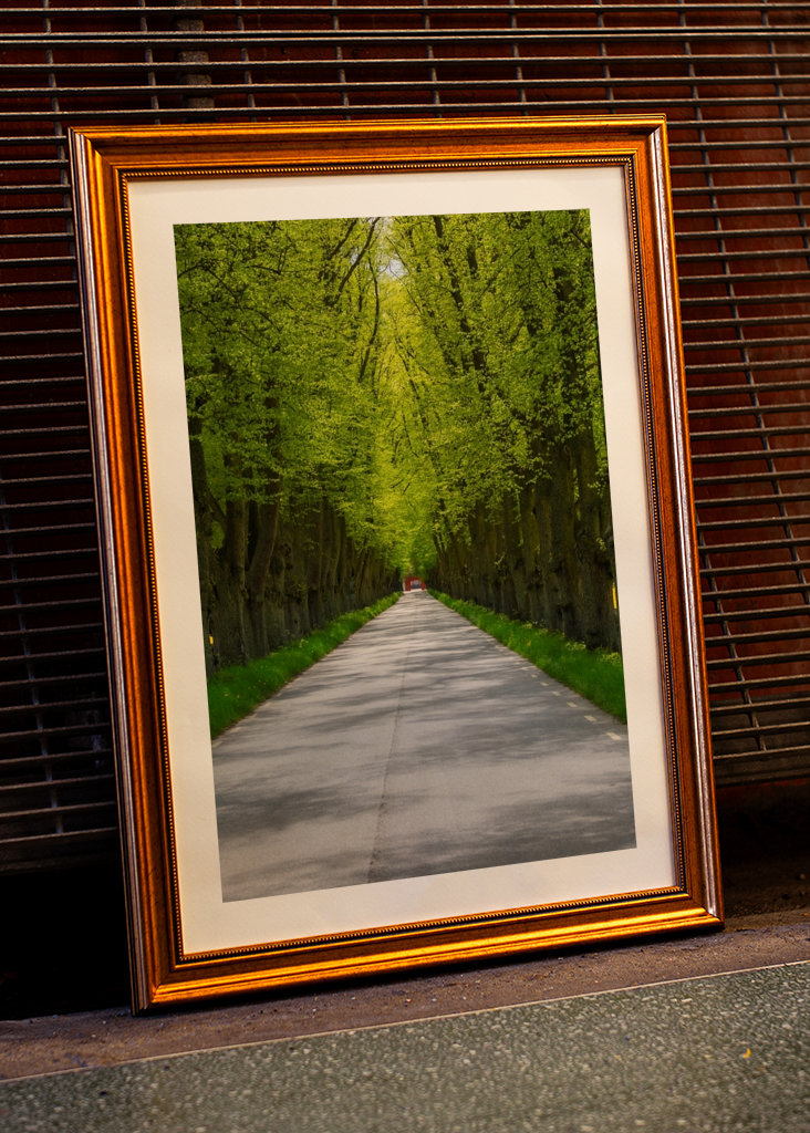 Alley in sheer greenery