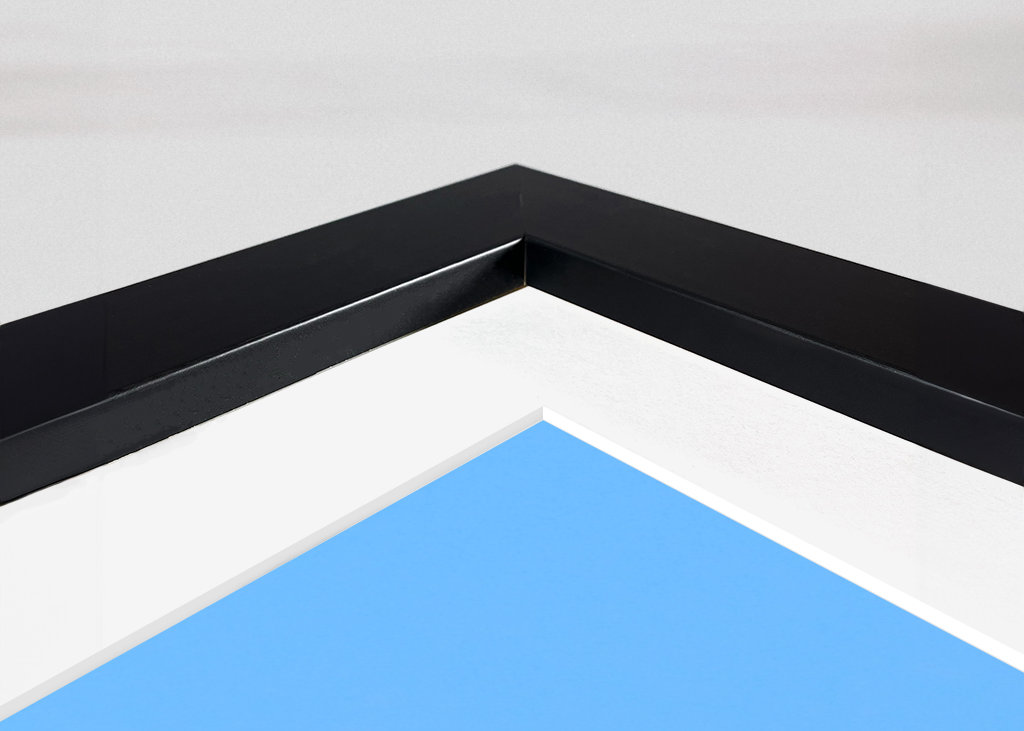 Hiirihaukat syövät