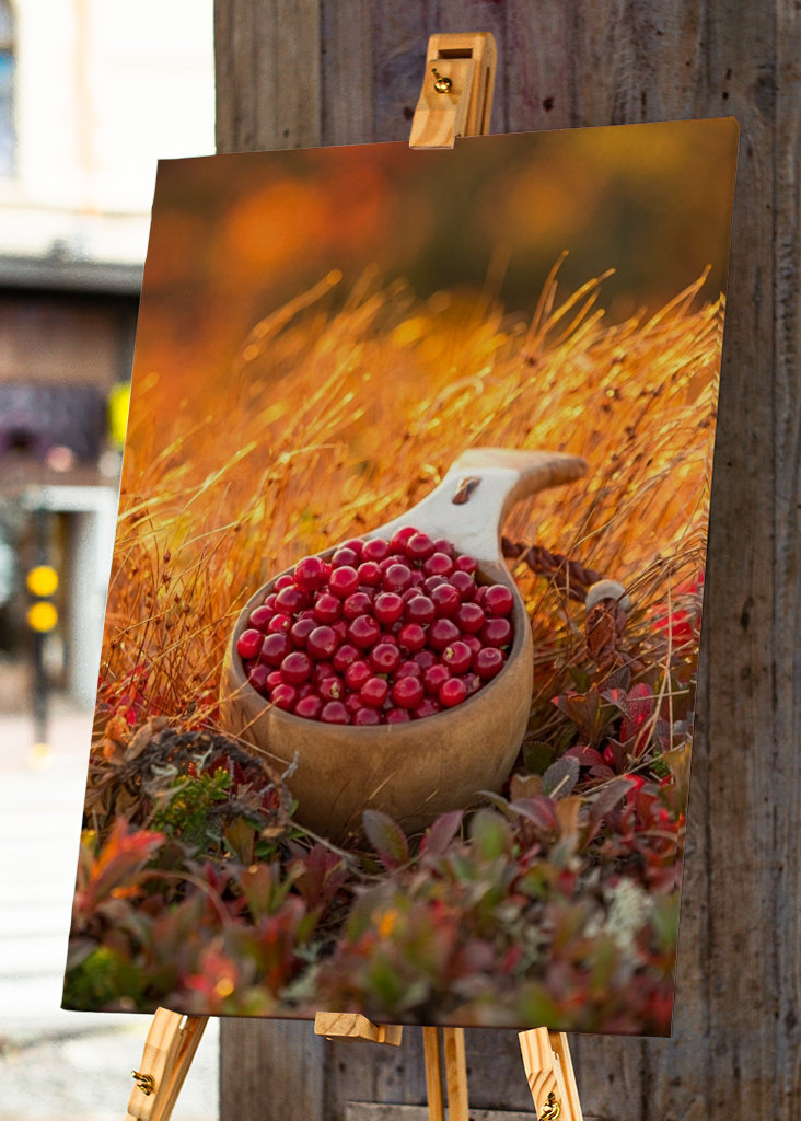 Cowberry lingonberry guksi