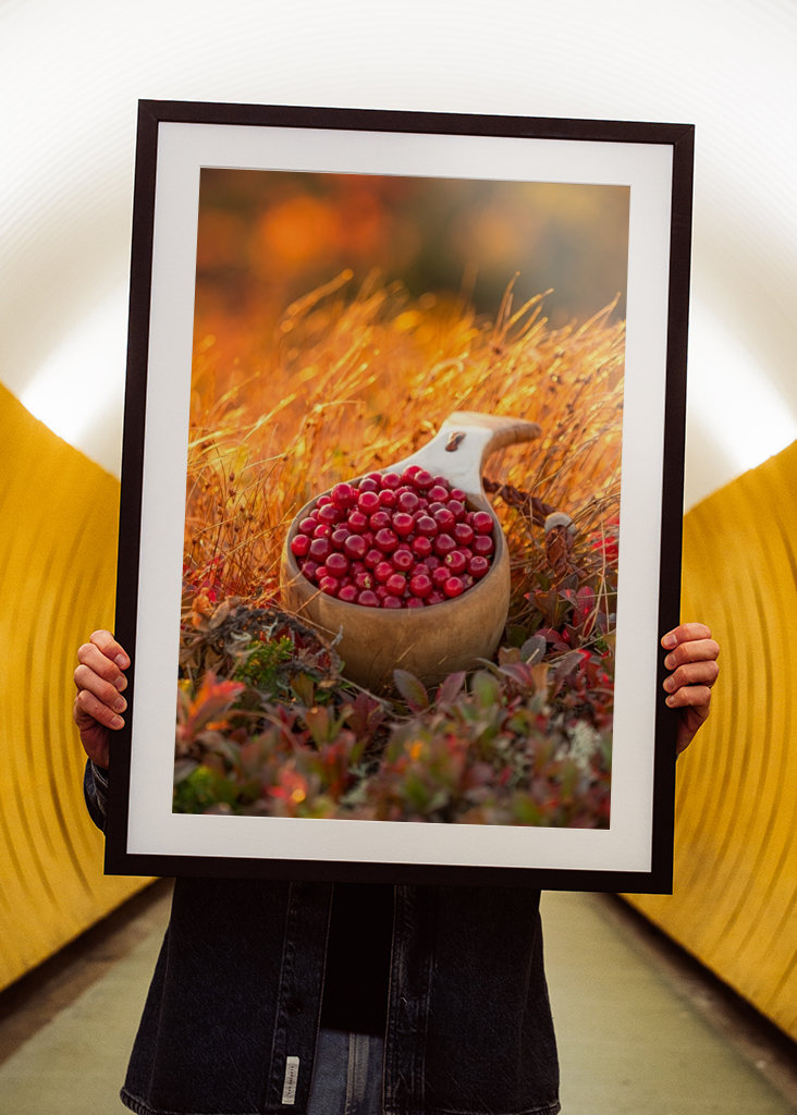 Cowberry lingonberry guksi