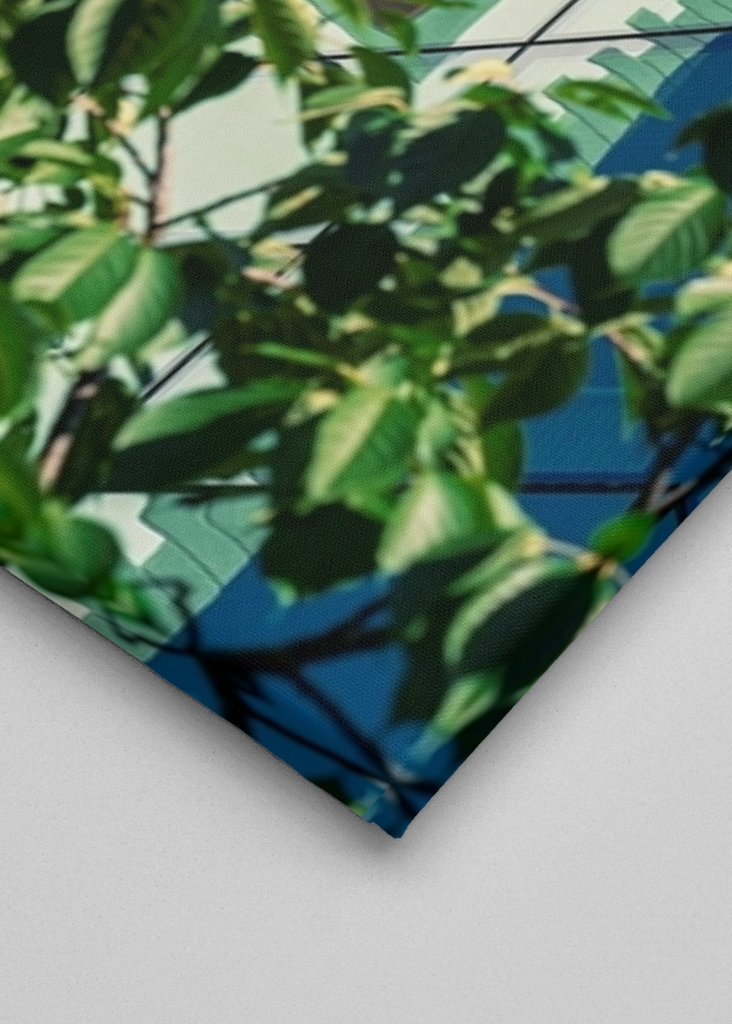 Rozsudek ve věci Klagenfurter