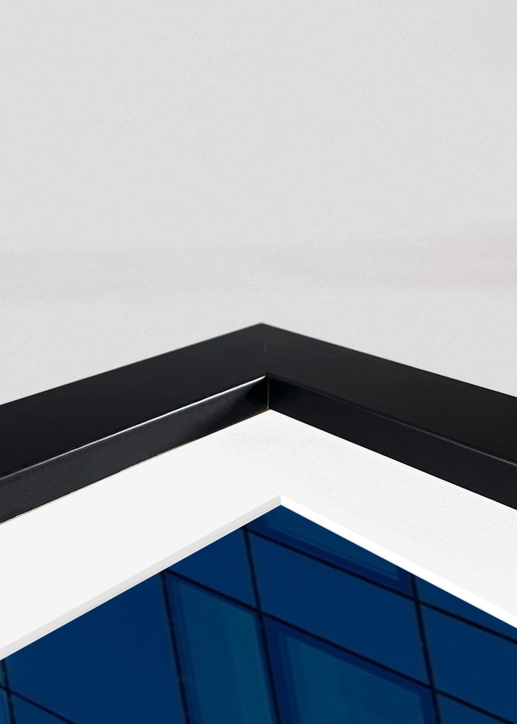 Rozsudek ve věci Klagenfurter