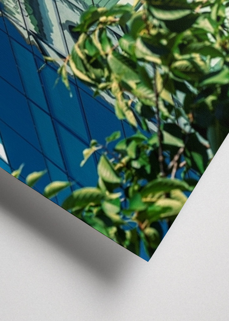 Rozsudek ve věci Klagenfurter