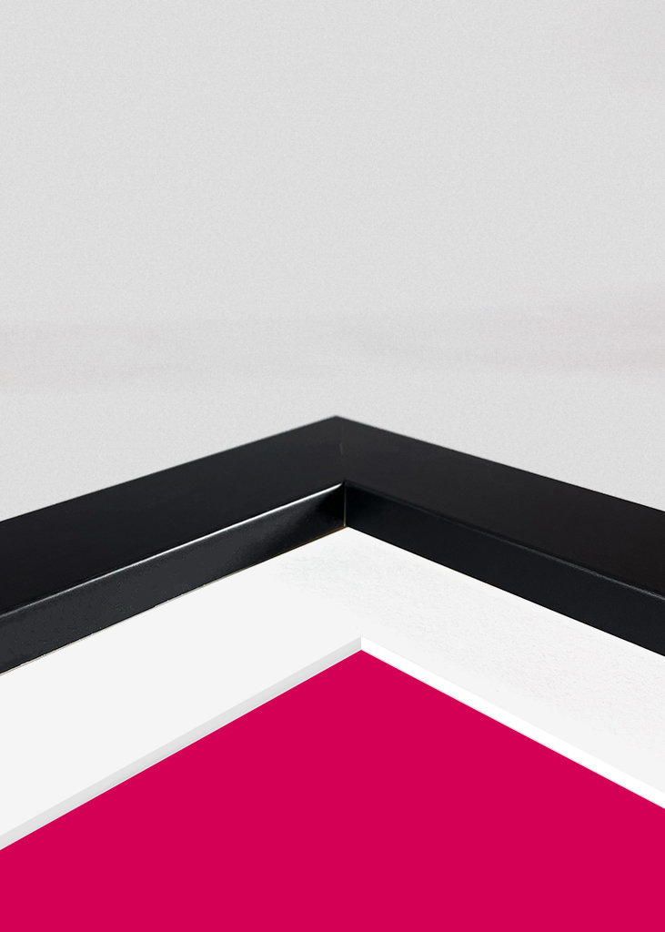 Fabuleux comme un flamant rose