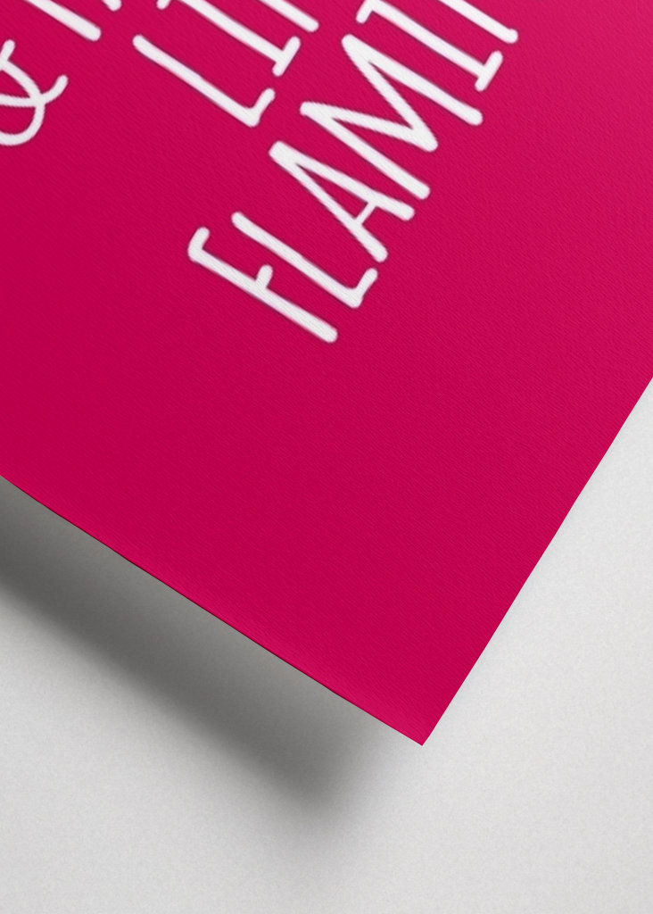 Fabuleux comme un flamant rose