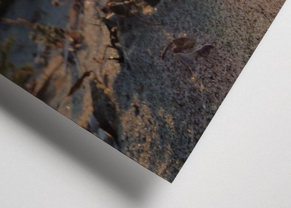 Magische vakanties op Kos