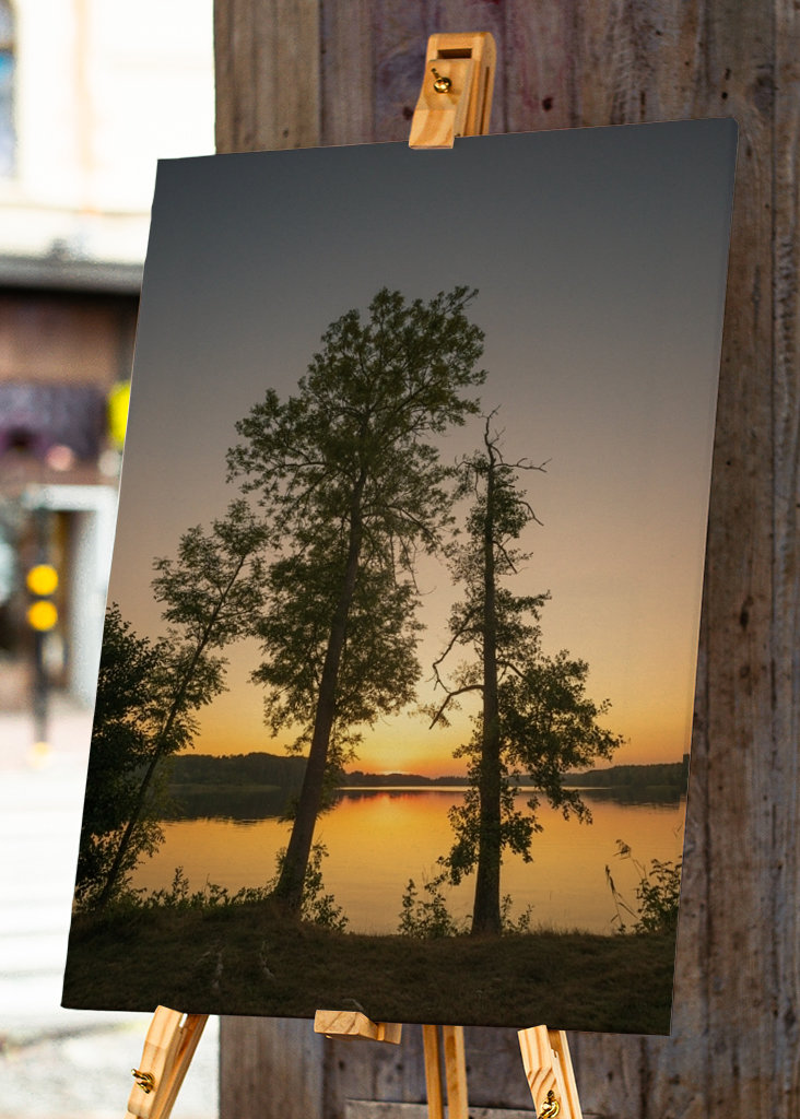 Sunset Through the Trees