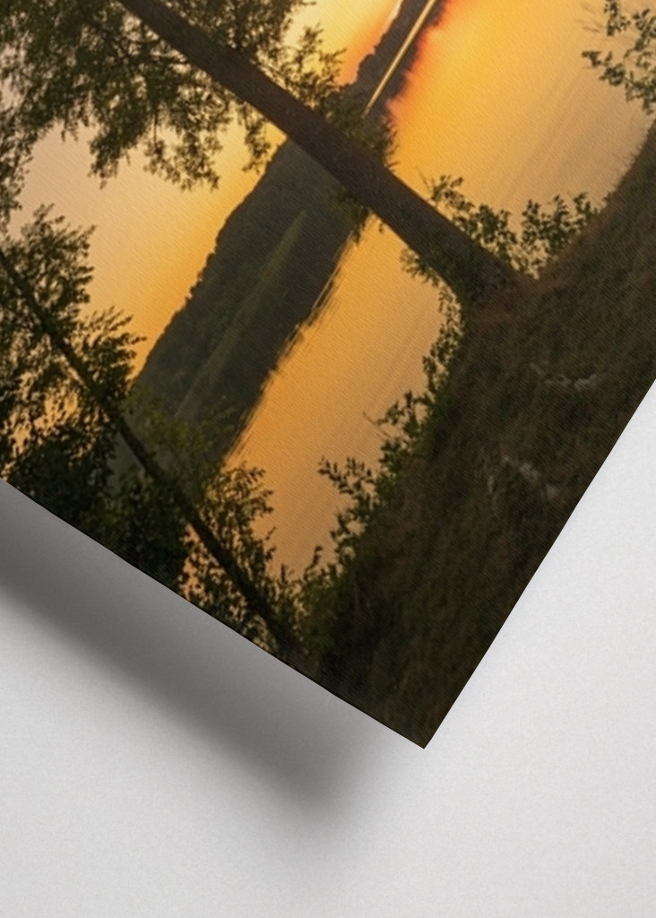 Sunset Through the Trees