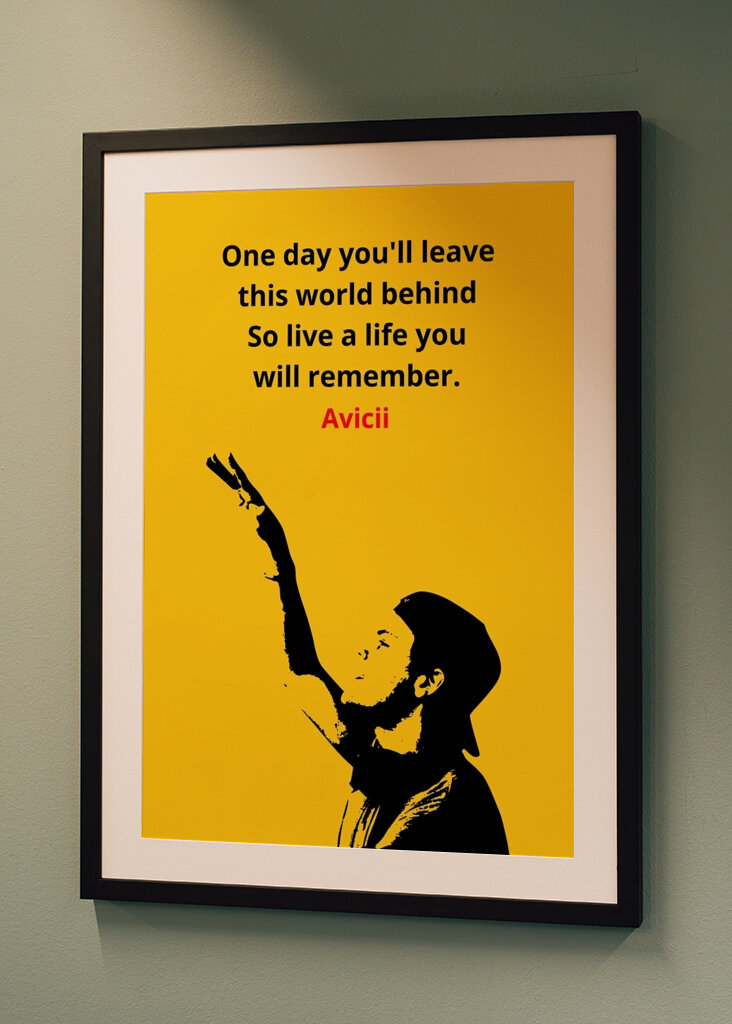 Avicii Quotes