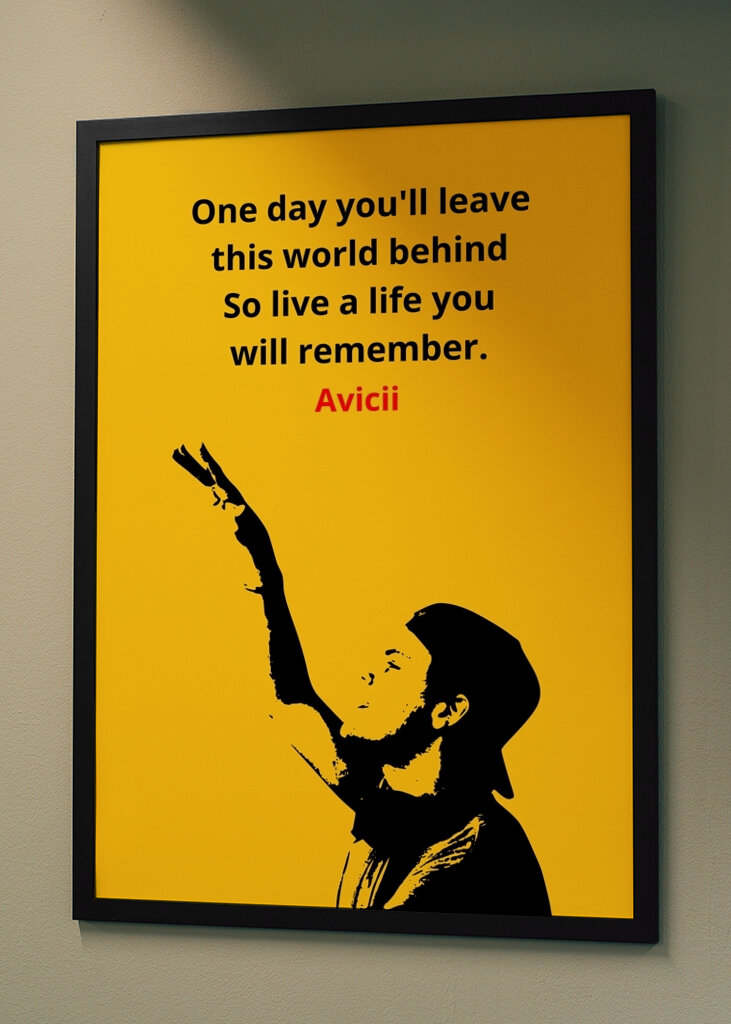 Avicii Quotes