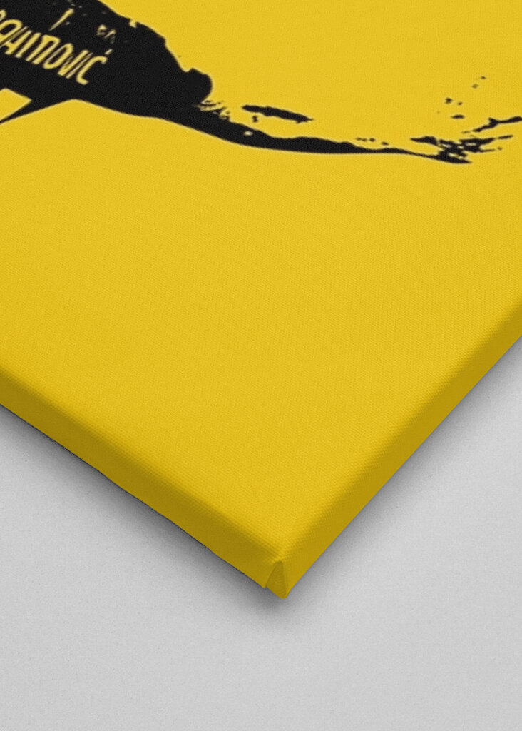 Zlatan Ibrahimovic Zitate