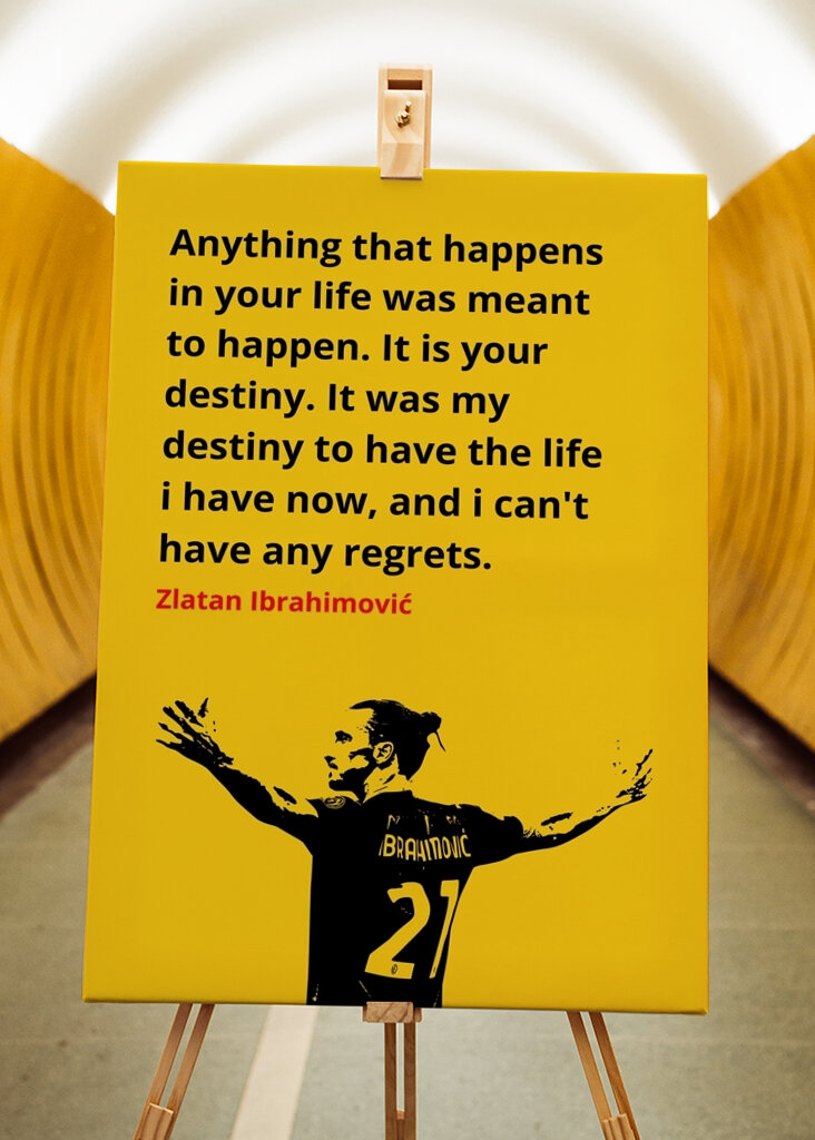 Zlatan Ibrahimovic Zitate