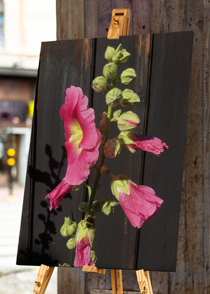 The hollyhock & the bumblebee